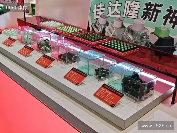 穆斯卡特：林加德踢得非常好；海港的长远计划需要商讨